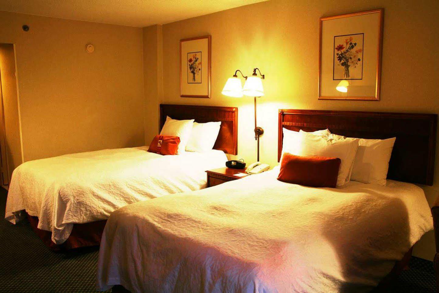 Hampton Inn Atlanta-North Druid Hills Pokój zdjęcie